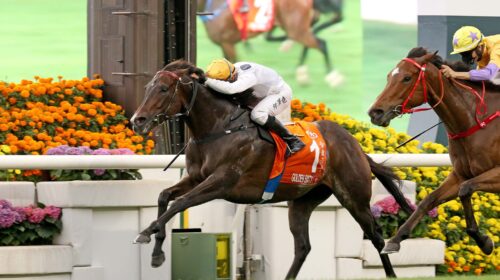 1_20210425_STRC_R7_50V7491sk-scaled-1-50