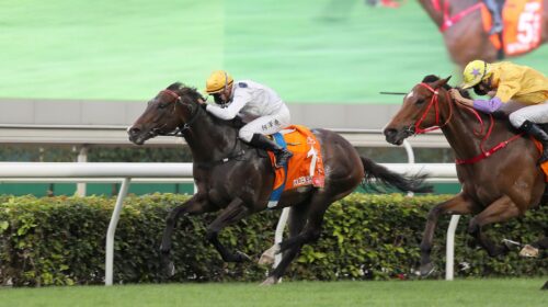 1_20210425_STRC_R7_90I1004p-scaled-1-500