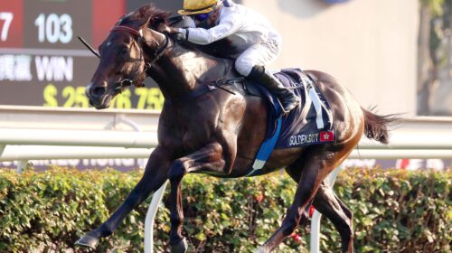 1_20211212-ST-R7-JCX37134o-scaled-1-500x