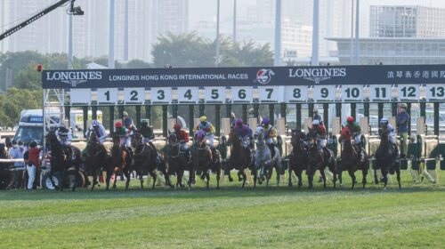 1_20211212-ST-R8-A46I5851j-scaled-1-500x