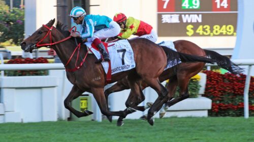 1_20220130-ST-R9-A90I3496J-scaled-1-500x