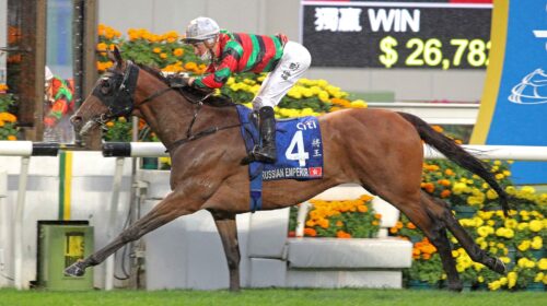 1_20220220-ST-R8-90I7185sk-scaled-1-500x