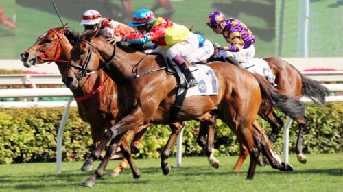 20220403_LeadPic_Sprint-Cup-scaled-1-500