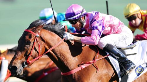 20220410-ST-R8-JCX38218o-scaled-1-500x28