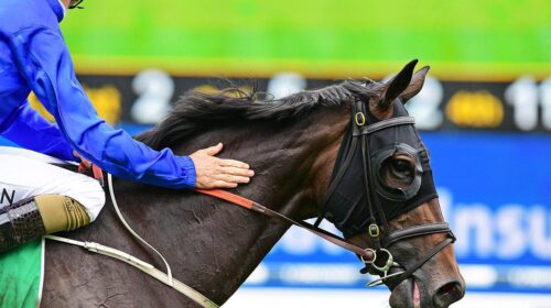 277456355_493995178991601_38891264784810