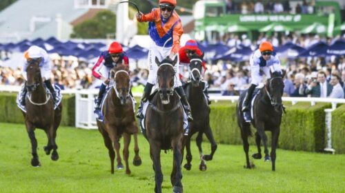 277976134_394271888887744_74595360943794