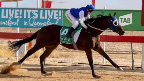 278021477_494068312424362_49724303482085