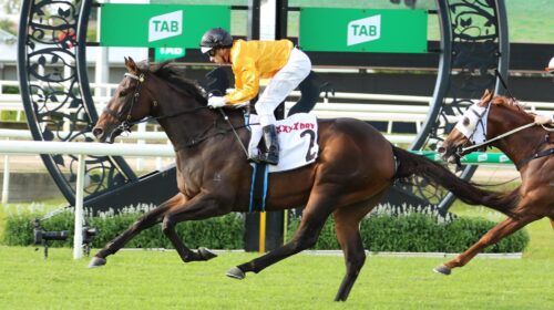 278060563_291365839841312_13020231594340