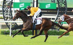 Flying Ryan & Alexiou have a day out at Eagle Farm