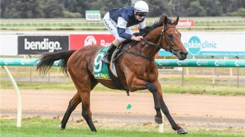 278118537_652451619187051_34741405421244