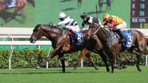 2_20210523_ST_R8_90I9629sk-scaled-1-500x