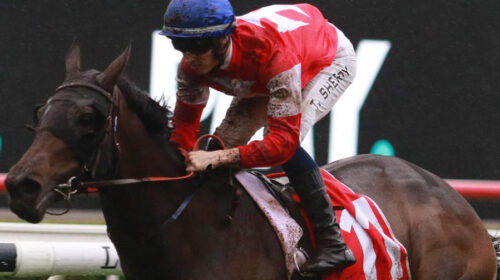 839227d0e936eff0c68ff9e5322dc137-1-500x2