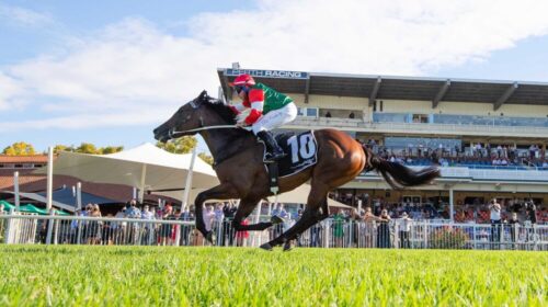 Amelias-Jewel-Karrakatta-Plate-2022-500x