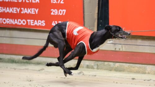 Boston-Garden-National-Derby-1024x554-1-