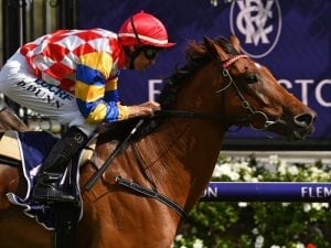 Manolo Blahniq favourite for Vic Handicap