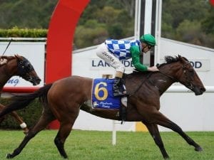 Fillies can press claims for SA features