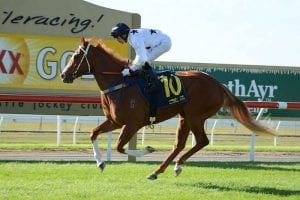 Don't Tell Mama set to stay at Doomben