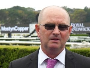 Trainer Toby Edmonds keen on Ascot chance