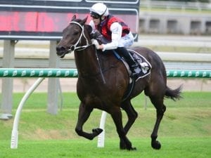 Mr Marbellouz back at favourite track