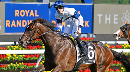 El-Patroness-Australian-Oaks-500x280.jpe