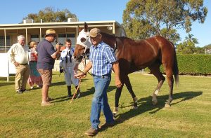 Transgender jockey Tyler Leslight scores first win at just third race ride