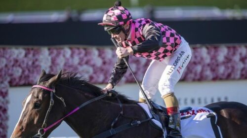 Gallops_Rothfire_4-3_18907382_2014663_20