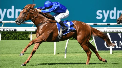 Horse-paulele-162758-750x500-1-500x280.p