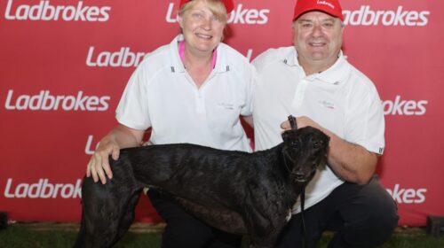 IDOLIZE-2.4.2022-RACE-5-LADBROKES-GOLDEN