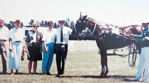 Lindsay-Blackmore-blog-image__ResizedIma