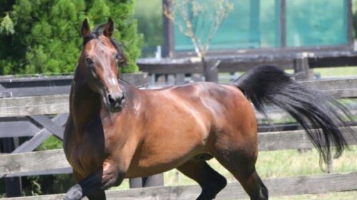 Live-Or-Die-blog-image__ResizedImageWzYw