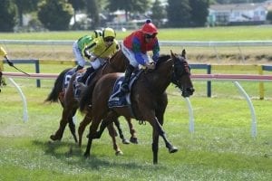 Team Rogerson pair poised to confront Champagne Stakes