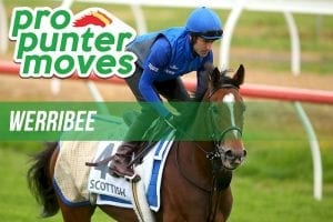 Werribee market movers for Thursday, April 19