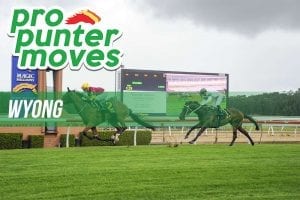 Wyong market movers for Thursday, April 19