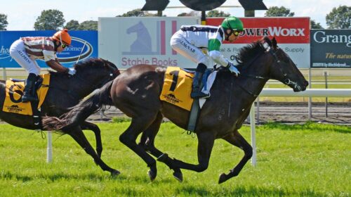 RANGI-TOA-TARANAKI-26-3-2021-WIN-RACE-IM