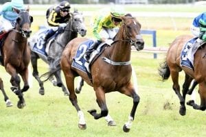 Easter hopes rest solely with Seventh Up