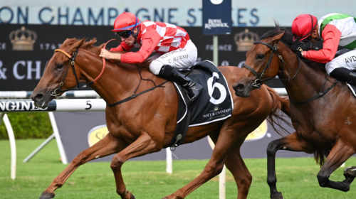 Shes-Extreme-Champagne-Stakes-500x280.pn