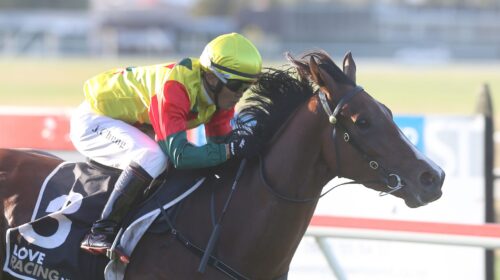 Show-Courage-ah-1347-002-scaled-1-500x28