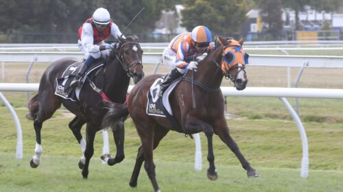 Soprano-Supreme-a-0321-scaled-1-500x280.