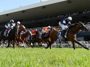 Sydney Cup favourite Dubhe draws gate four