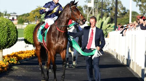 Tofane-return-Stradbroke-Grant-Peters-Tr