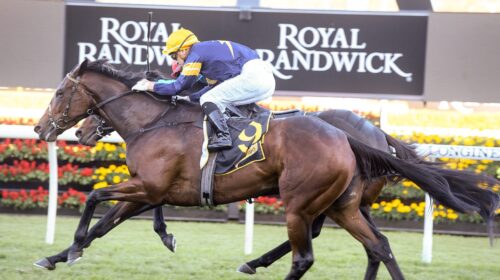 Tofane_Randwick_ALl_Aged_S_18.4.2020_BP-