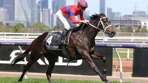 Verry-Elleegant-Melbourne-Cup-02.11.21-B