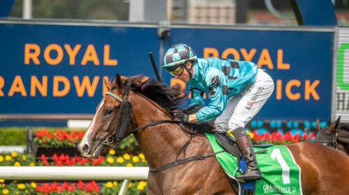 Williamsburg-Fernhill-Mile-1-500x280.jpe