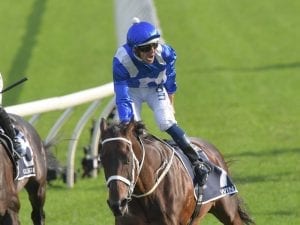Winx