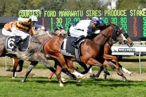 Spring features in-mind for talented two-year-olds