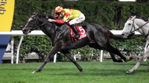 1_20210106-HV-R4-5-Horse-shot-BC7A2018S-