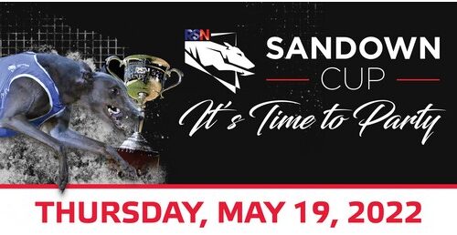 2022-Sandown-Cup-Banner-1-5-500x258.jpg