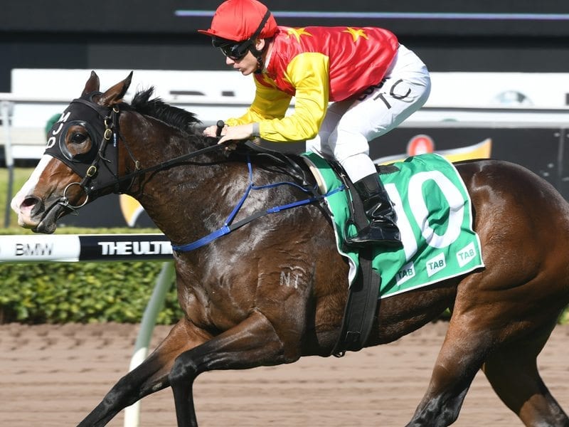 Racing horse Clipper and jockey Tim Clark