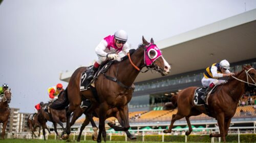 82612734-2BAB-46B1-B1F9-E373BCA9EF3E-500