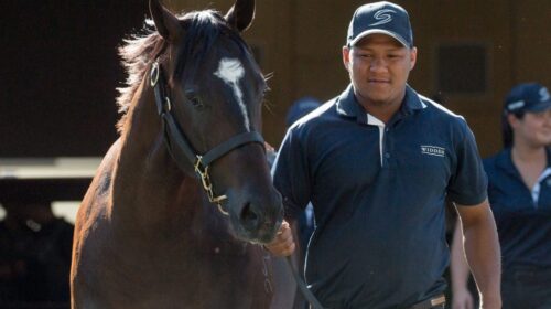 Basquiat-scaled-e1653874823876-1024x668-